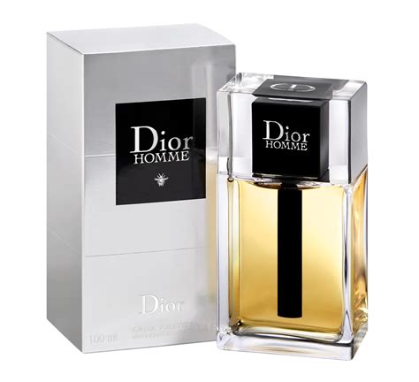 l'homme dior